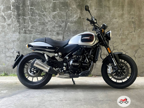 Мотоцикл HARLEY-DAVIDSON X500 2023, серый фото 2