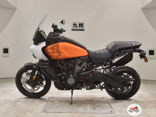 Мотоцикл HARLEY-DAVIDSON Pan America Special 2021, Оранжевый