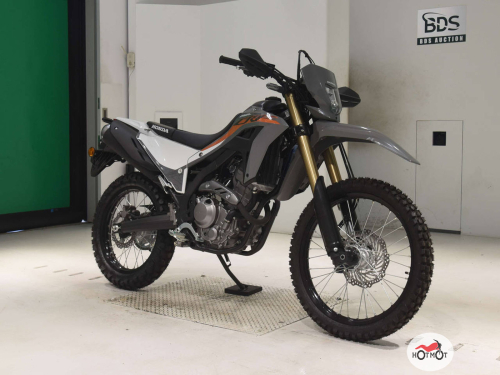 Мотоцикл HONDA CRF 250L 2023, серый фото 3