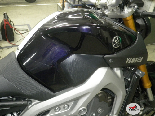 Мотоцикл YAMAHA MT-09 (FZ-09) 2015, ФИОЛЕТОВЫЙ фото 9