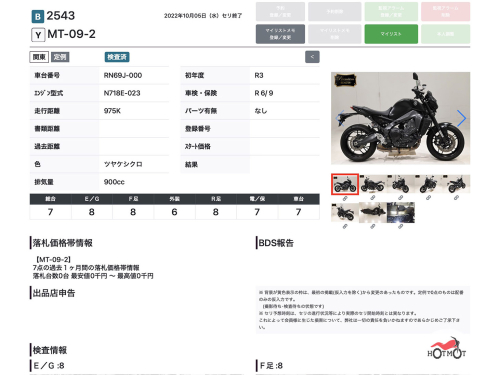 Мотоцикл YAMAHA MT-09 (FZ-09) 2021, Черный фото 13