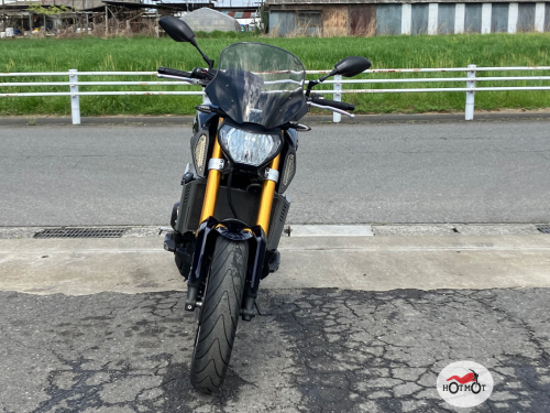 Мотоцикл YAMAHA MT-09 (FZ-09) 2015, ФИОЛЕТОВЫЙ фото 3